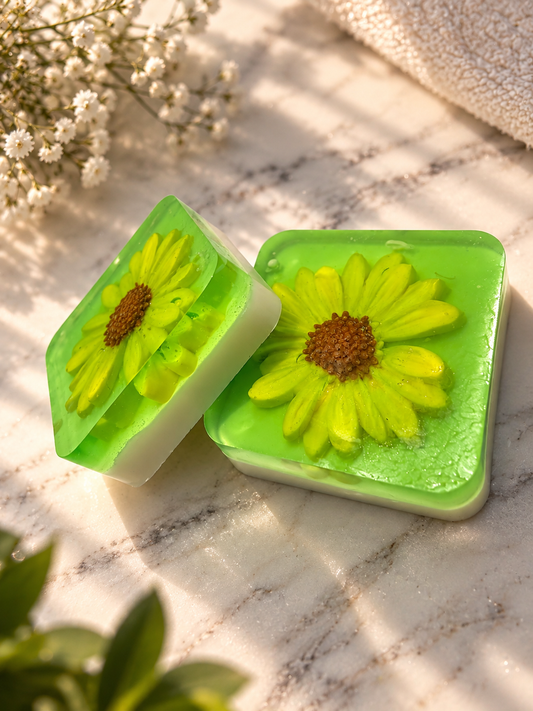 Aloe Bliss